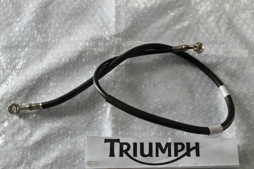Brake lines break - brake,