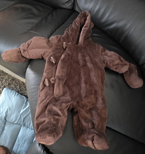 Gorgeous teddy bear - teddy, bear,