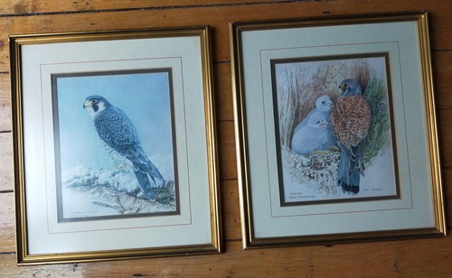 Pair eric tenney prints - tenney,