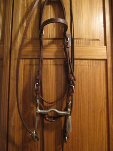 New cashel leather - new, western