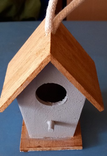Bird box ideal for - (small),