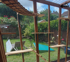 Mainecoon /Large breed shelf Pack with Hex Box Perfect or outdoor cat enclosures