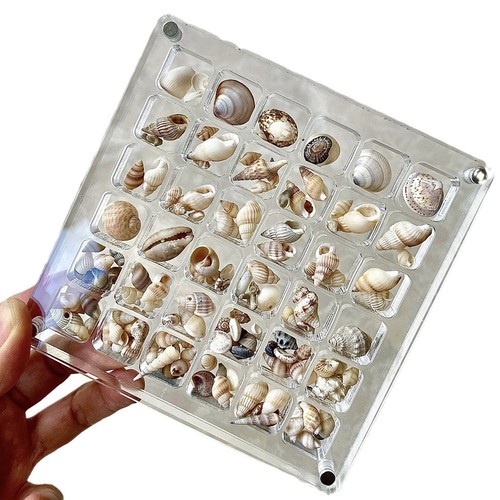 Magnetic shell display - magnetic,