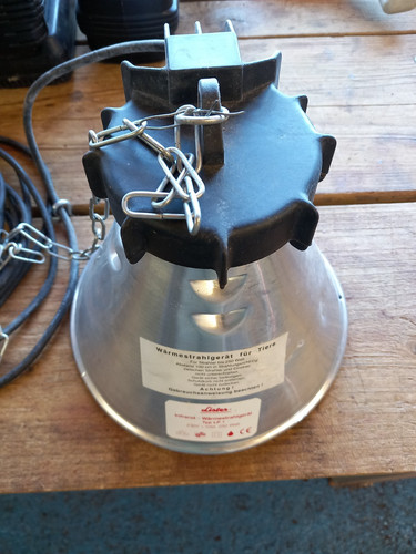 Brooder ceramic heat lamp - brooder,