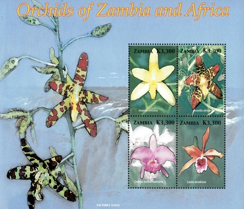 Zambia 2005 orchids of - 2005,