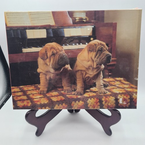 Sealed wrinkled pups - sealed,