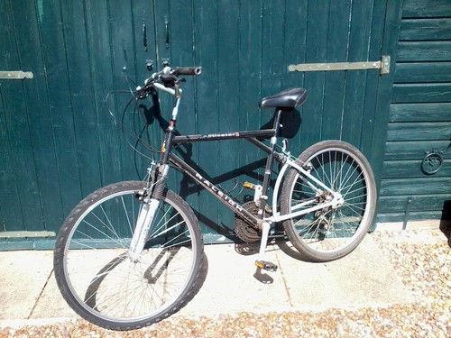Raleigh activator 90s - 2,