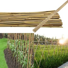 40x Large 5ft Bamboo Canes Thick Stick Strong Heavy Duty Plants Garden Supported