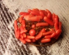Antique Coral Brooch On Wire Base