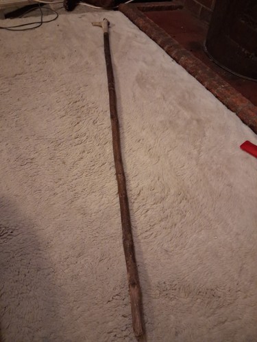 Hazel wood walking - walking, stick