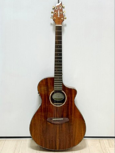 Breedlove acoustic guitar - breedlove,