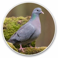 2 x Vinyl Stickers 15cm -