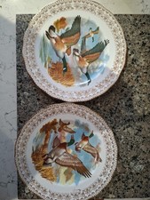 Set Of 2 Decorative Bone China