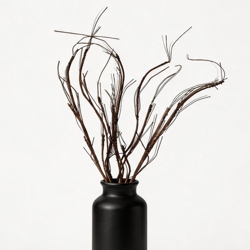 Pcs curly willow - willow, 28