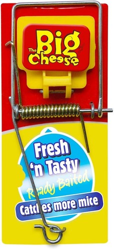 The big cheese fresh - the, baited