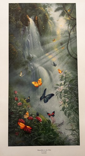 Tom dubois butterflies the - tom, "butterflies