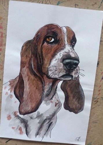 Basset hound dog portrait - basset,