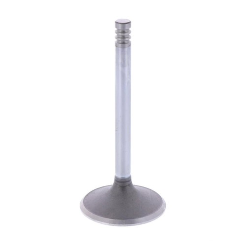 Intake valve for - intake,