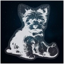 'yorkie puppy with toy' Static