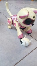 Teksta rare Pink Robot cat