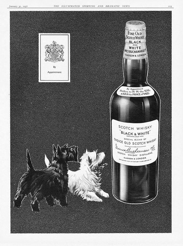 Black white scotch - white, whisky
