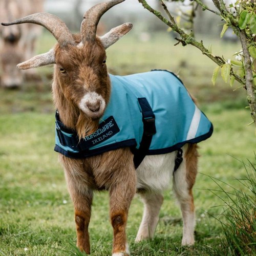 Horseware goat coat 100g - horseware,