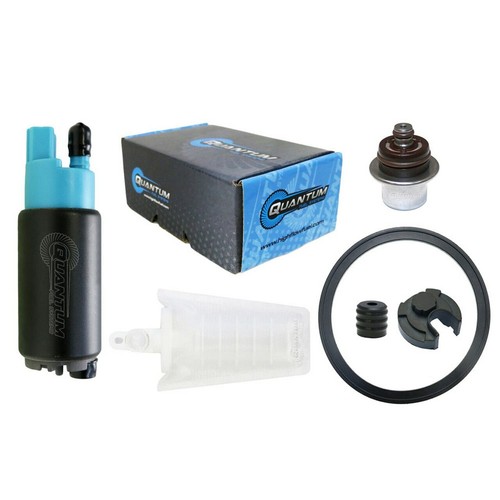 Quantum efi pump seal - +,