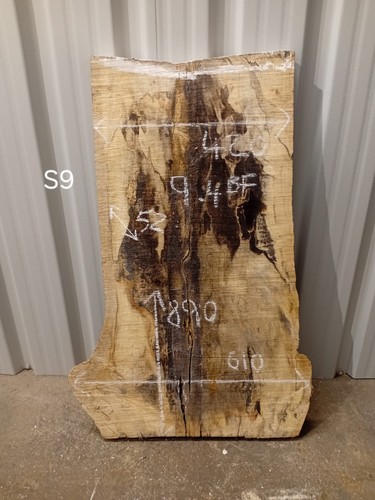 Spalted sycamore live - sycamore, edge