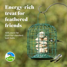 RSPB Wild Bird Food Super Suet