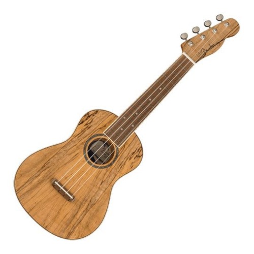 Fender zuma exotic concert - fender,