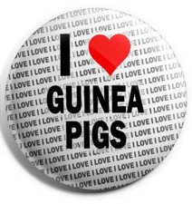 I Love Guinea Pigs Pin Badge