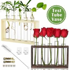 Glass Vase Planter Plant