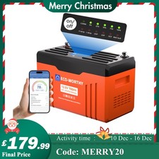 12V 100AH LiFePO4 Lithium