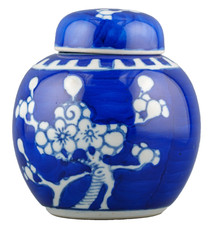 Chinese Porcelain Ginger Jar