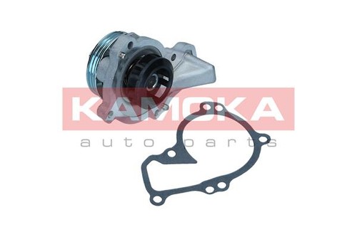Kamoka t0296 water - t0296, pump