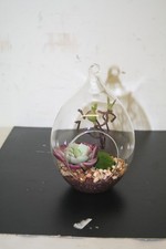 Glass Hanging Garden Ornament