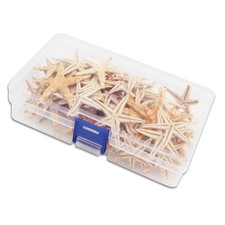 Small Natural Starfish for DIY