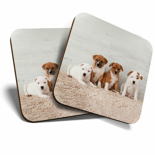 Coasters cute staffie - 2,