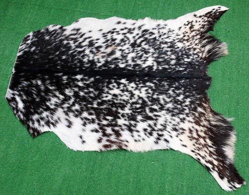 Genuine goat hide hair - goat, on