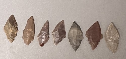 Stone age mesiolithic stepped - stone,