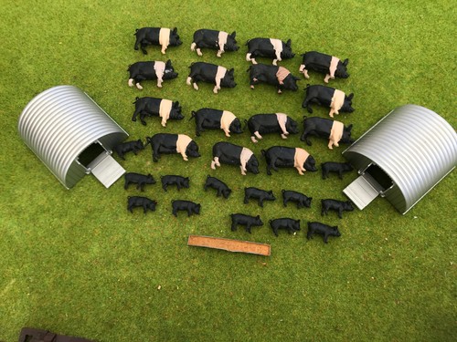 Britains saddleback pigs - britains,