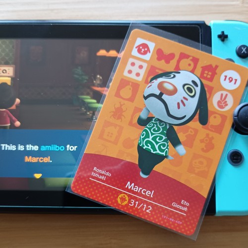 Marcel animal crossing - animal,