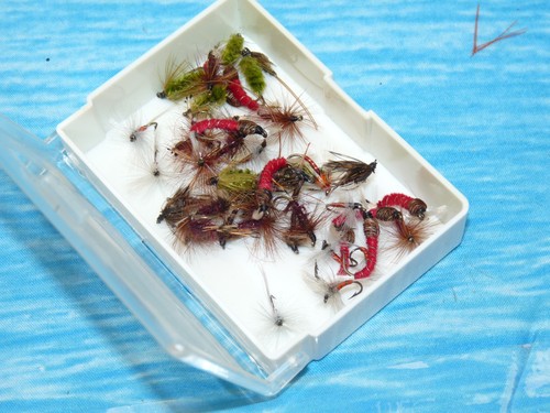 New box trout grayling - box, &