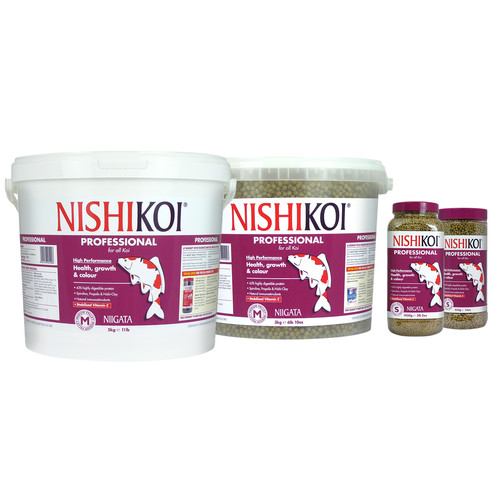 10kg nishikoi niigata - nishikoi,