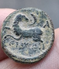 Small Unidentified, 14mm