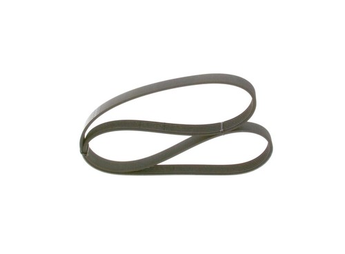 Bosch ribbed belt for - belt,