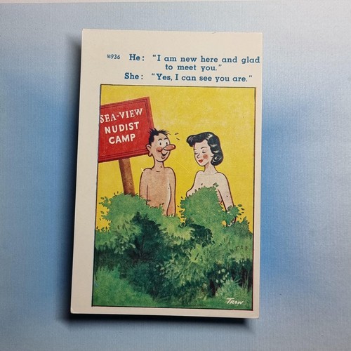 Saucy comic postcard - postcard, c1965