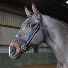 Whitaker Ready To Ride
