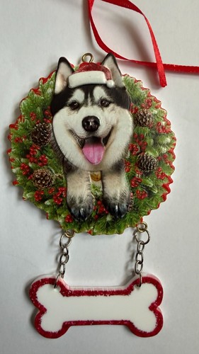 Husky alaskan - husky,