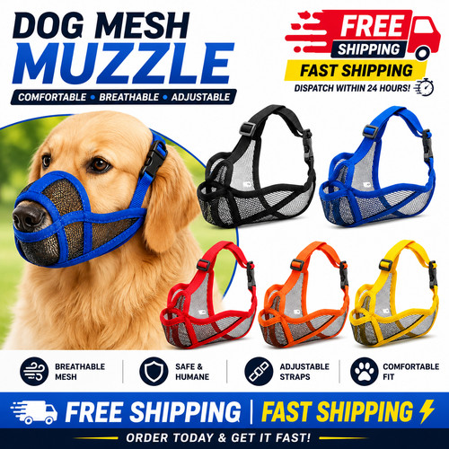 Short snout dog - short, muzzle